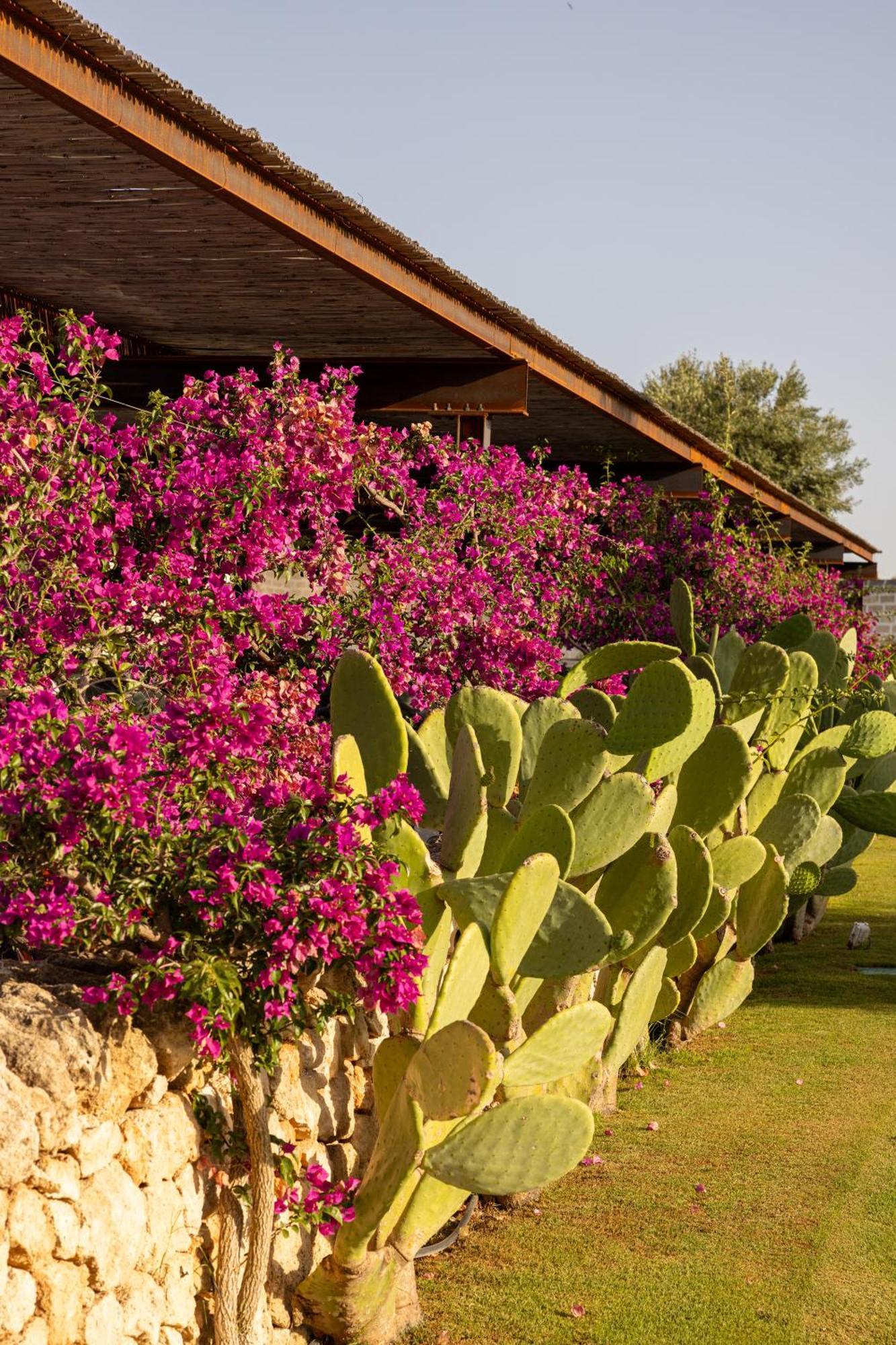 Masseria San Francesco Savelletri Екстер'єр фото